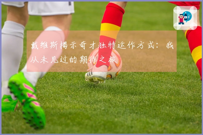 戴维斯揭示奇才独特运作方式：我从未见过的期待之旅