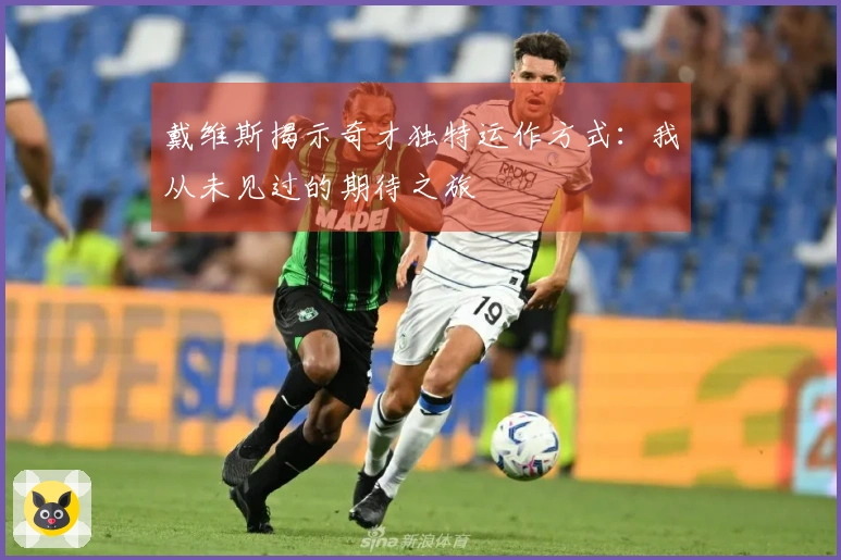 戴维斯揭示奇才独特运作方式：我从未见过的期待之旅